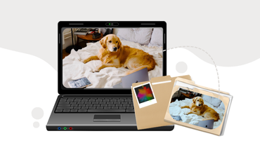 Przygotowanie pliku do druku - jak sprawić, by plik wyglądał tak samo w druku jak na ekranie?